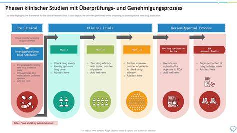 Schema: Studiendesign mit vier Phasen (Kontrolle, Mandeln, Kakao+Schokolade, Kombination)