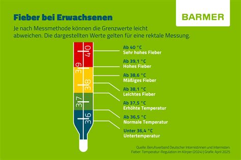 Schema: Temperatur- und Abstandsregeln bei Holzbackofen-Pizzen