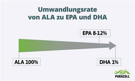 Schema: Umwandlung von DHA zu MGO im Bienenstock