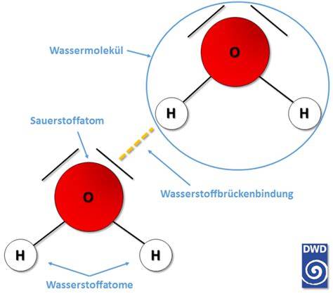 Schema: Wassermoleküle und Zuckermoleküle im Glas