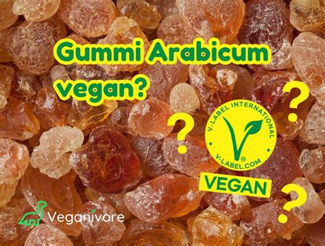 Schema: Wie Gummi arabicum gewonnen wird
