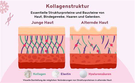 Schema: Wie Zucker Kollagen und Elastin angreift