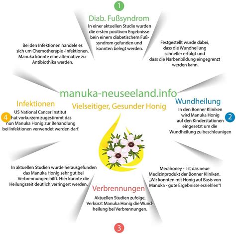Schema: Wirkung von Manuka Honig auf die Nasenschleimhäute