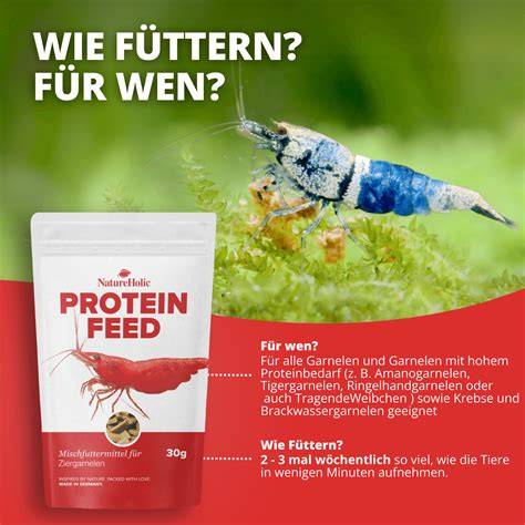 Schema: Zutatenmix und Trocknungsprozess für Garnelenfutter
