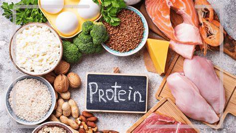 Schema: typische Zutaten eines proteinreichen Milchdesserts