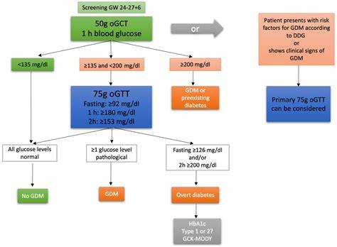 Schema Ablauf oraler Glukosetoleranztest (oGTT) bei Schwangeren