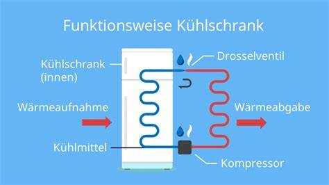 Schema Auftaumethoden Kühlschrank, Zimmertemperatur, Mikrowelle, Backofen