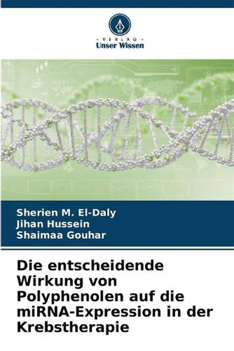 Schema Darm-Hirn-Achse und Wirkung von Polyphenolen