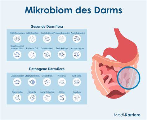 Schema Darm-Mikrobiom und psychische Gesundheit