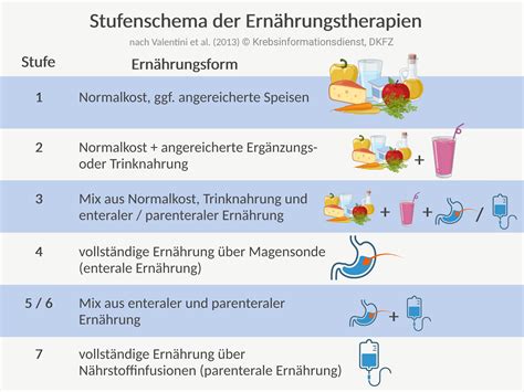 Schema Ernährungstherapie bei Mangelernährung