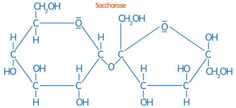 Schema Herstellung und Reinigung Saccharose