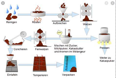 Schema Herstellung von Kakao und Schokolade