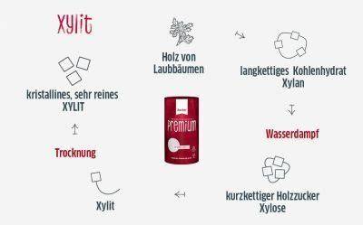 Schema Hydrierung Xylit Herstellung: Rohstoff → Xylan → Xylose → Hydrierung → Xylit