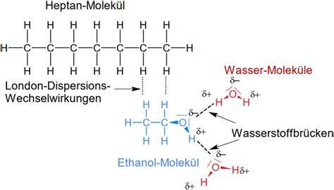 Schema Migration von Ethanol und Wasser in Pralinenhülse