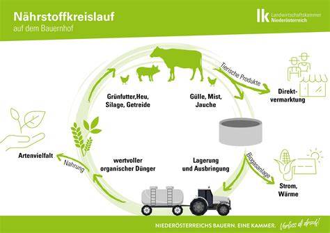 Schema Nährstoffanalyse Katzenfutter (Laboruntersuchung, Nährstoffkreislauf)