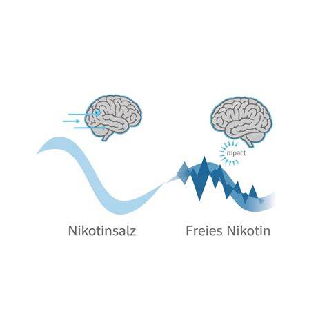 Schema der Nikotinaufnahme bei freiem Nikotin und Nikotinsalz