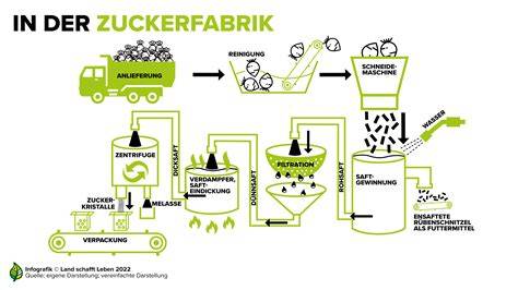 Schema der Raffination von Zucker