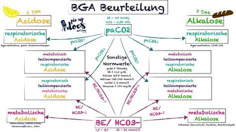 Schema der sekundären Metaboliten in Trüffeln