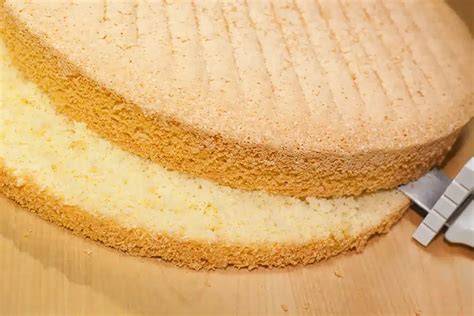 Schema des perfekten Biskuitbodens für die Torte