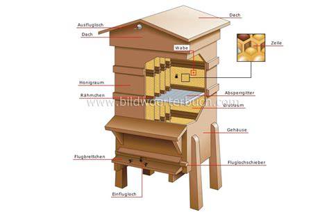 Schema eines Bienenstocks - Aufbau, Bienenwesen, Wabenzellen