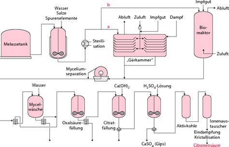 Schema industrielle Herstellung von Zitronensäure (Fermentation mit Aspergillus niger)