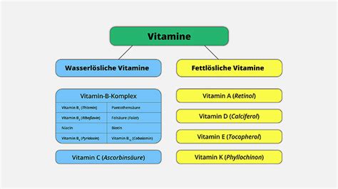 Schema zur Funktion von Vitaminen und Mineralien beim Abnehmen