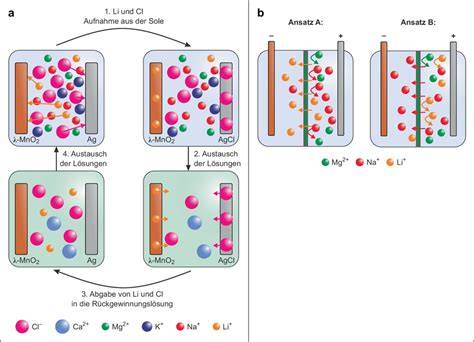 Schematische Darstellung: Aufbau einer gefüllten Neuhaus-Praline (Schale, Füllung, Verschluss)