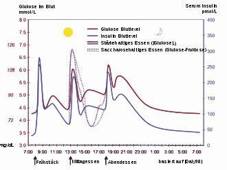 Schematische Darstellung: Blutzucker- und Insulinkurve nach Kellogg’s-Flocken