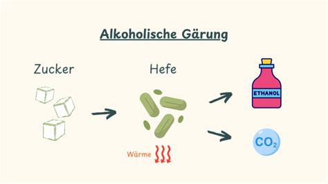 Schematische Darstellung: CO2-Lösung in Getränken und wahrgenommene Spritzigkeit