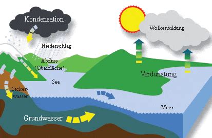 Schematische Darstellung: Dampfdruck und Verdunstung im Honig