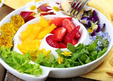 Schematische Darstellung: Kakao, Flavonoide und deren positive Wirkung auf Blutgefäße und Leber