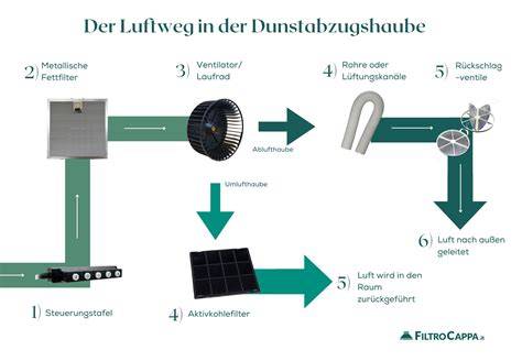 Schematische Darstellung: LST-Technik und Luftzirkulation bei kompakten Autoflower-Pflanzen