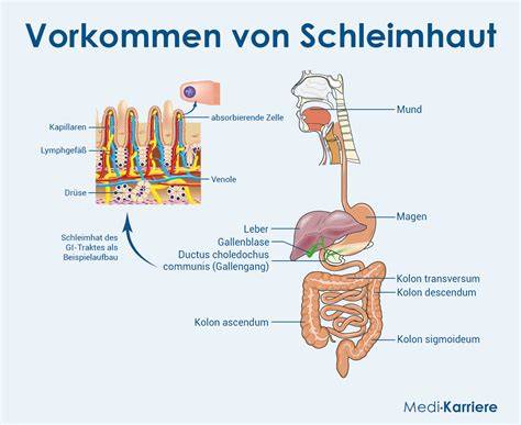 Schematische Darstellung: Trockene Schleimhaut vs. befeuchteter Schutzfilm