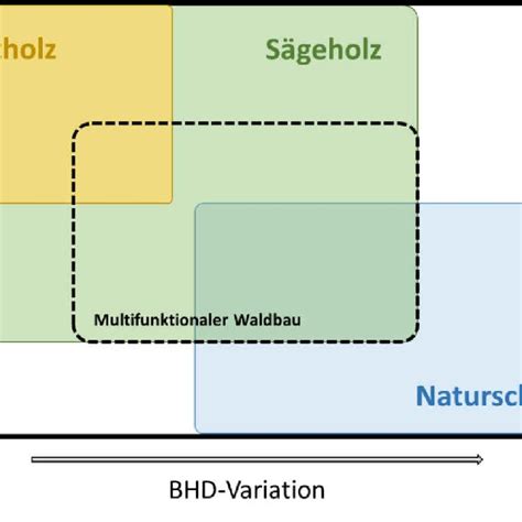 Schematische Darstellung: Volumenberechnung verschiedener Backformen
