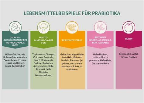 Schematische Grafik: Ballaststoffe, Probiotika und Blutzucker-Stabilität
