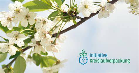 Schematische Infografik: Zutaten und Aromen der Hugo-inspirierten Pfirsich-Marmelade