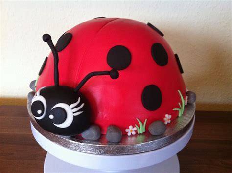 Schichtaufbau der Marienkäfer Torte