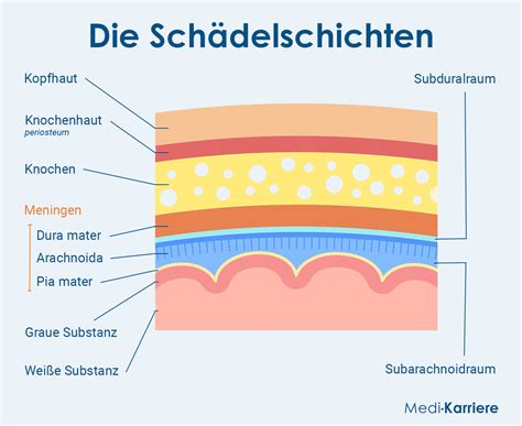 Schichten & Zutaten des Zitronen-Frischkäse-Desserts