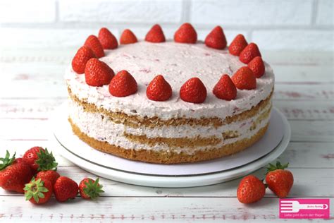 Schichten einer Erdbeer-Biskuit-Torte: Biskuit, Quark-Sahne, Erdbeeren