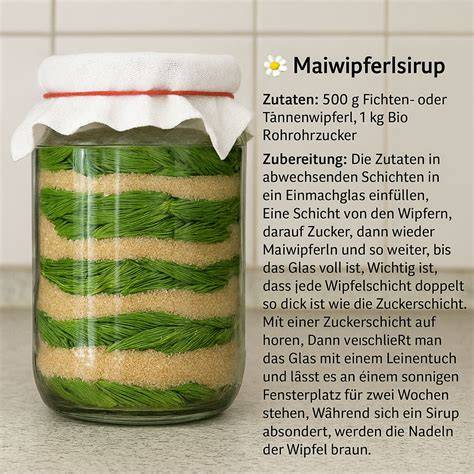Schichten von Zucker und Maiwipferln im Glas