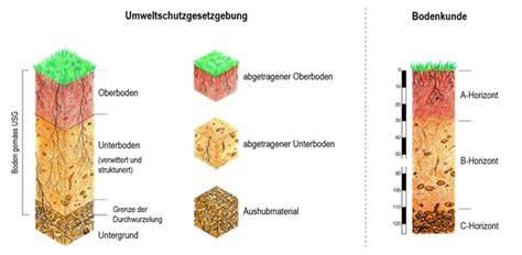 Schichtung: viele dünne Böden, Cremeschichten, Krumenoberseite