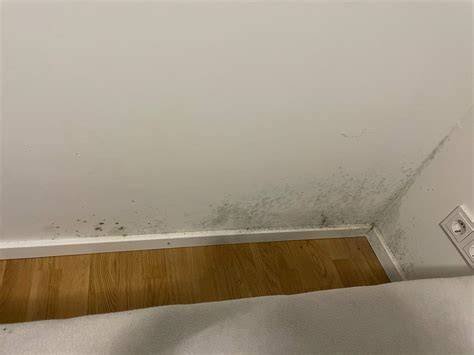Schimmel im Schlafzimmer: Risikopunkte und typische Gerüche