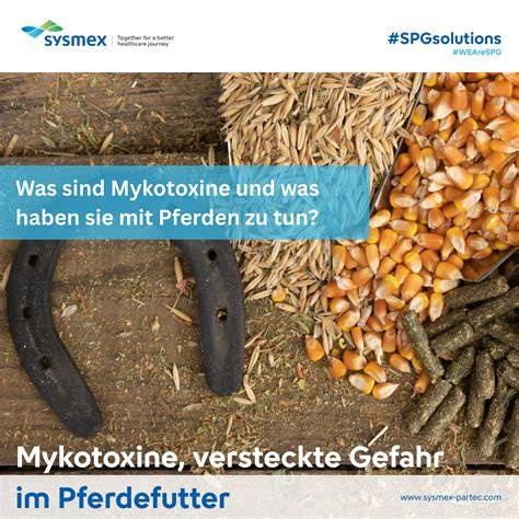Schimmelpilzbefall und Mykotoxine