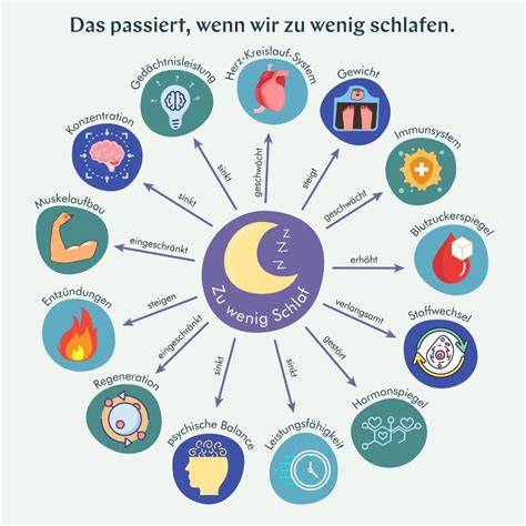 Schlaf, Ernährung, Stress: Einflussfaktoren in der Übersicht