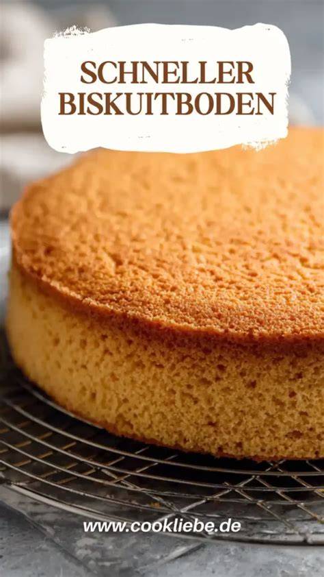 Schneller Biskuitboden in Springform, fertig gebacken