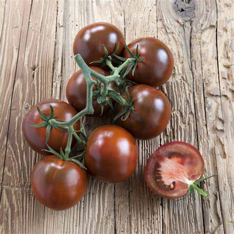 Schoko Cherry Tomate Früchte und Farbe