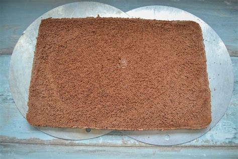 Schoko-Biskuit auf Backblech