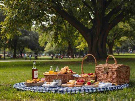 Schoko-Croissants beim Picknick im Park