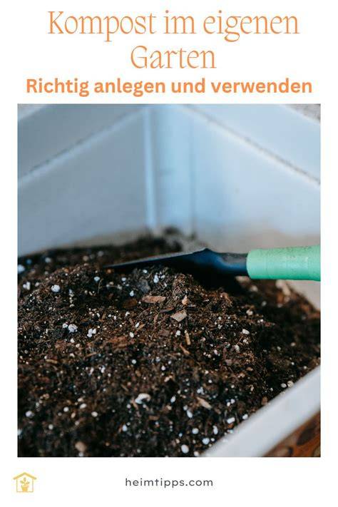 Schoko-Minze pflanzen und verwenden im Garten und in der Küche