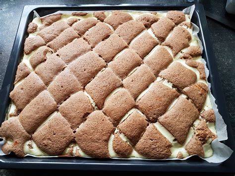 Schoko-Quark-Blechkuchen aufgeschnitten